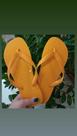 Havaianas Top Lisa