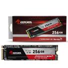 Hd SSD M.2 NVMe 256GB Keepdata, 2280, PCIe Gen3x4 - KDNV256G-J12 Hd SSD M.2 NVMe 256GB Keepdata, 2280, PCIe Gen3x4 - KDNV256G-J12