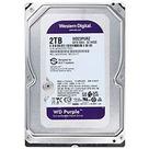 HD Western Digital 2TB WD Purple 3.5 SATA 3 5400RPM WD23PURZ Vigilância Segurança Armazenamento 24-7 Ideal Câmeras HD Western Digital 2TB WD Purple 3.5 SATA 3 5400RPM WD23PURZ Vigilância Segurança Armazenamento 24-7 Ideal Câmeras