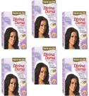 Hene em Po Divina Dama 06x50gr Jaborandi ( Cores: Incolor, Chocolate, Preto, Azulado, Castanho )