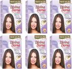Hene em Po Divina Dama 06x50gr Jaborandi ( Cores: Incolor, Chocolate, Preto, Azulado, Castanho ) Hene em Po Divina Dama 06x50gr Jaborandi ( Cores: Incolor, Chocolate, Preto, Azulado, Castanho )