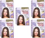 Hene em Po Divina Dama 50gr Jaborandi Caixa ( Cores: Incolor, Chocolate, Preto, Azulado, Castanho ) Hene em Po Divina Dama 50gr Jaborandi Caixa ( Cores: Incolor, Chocolate, Preto, Azulado, Castanho )