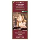 Henna Creme Chocolate Surya Brasil 70ml Henna Creme Chocolate Surya Brasil 70ml