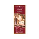 Henna Creme Natural Surya Castanho Claro