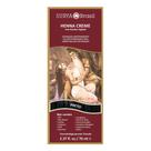 Henna Creme Surya Brasil Preto Kit Henna Creme Surya Brasil Preto Kit