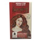 Henna HennFort Colorante em Pó 65g Natural Cor:CASTANHO ESCURO Henna HennFort Colorante em Pó 65g Natural Cor:CASTANHO ESCURO