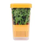 Herb Keeper LUVCOSY Fresh para geladeira, laranja sem BPA