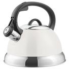 Hervidor de Té Mr. Coffee Flintshire de Acero Inoxidable 1.75L