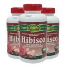 Hibisco com Gengibre 180 comprimidos Kit com 3