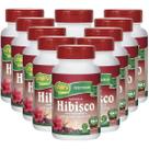 Hibisco com Gengibre 90 comprimidos de 500mg Kit com 10 Frascos
