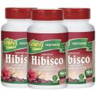Hibisco com Gengibre 90 comprimidos de 500mg Kit com 3 Frascos