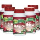 Hibisco com Gengibre 90 comprimidos de 500mg Kit com 5 Frascos