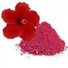 Hibiscus em pó 200g! londriervas