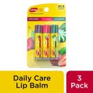 Hidratante Labial, Daily Care, Stick com Sabores, Kit com 3 Unidades, Carmex