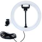 hight light 10" hight light 10"