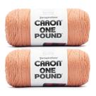 Hilo Caron One Pound Ladrillo Descolorido Paquete de 2 453.6g Acrílico Hilo Caron One Pound Ladrillo Descolorido Paquete de 2 453.6g Acrílico