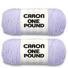 Hilo Caron One Pound Paquete de 2 908g Acrílico Medio 742m Hilo Caron One Pound Paquete de 2 908g Acrílico Medio 742m