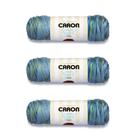 Hilo Caron Simply Soft Paints Paquete de 3 de 141 g Acrílico Peso Medio Hilo Caron Simply Soft Paints Paquete de 3 de 141 g Acrílico Peso Medio
