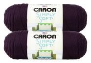 Hilo Caron Simply Soft Sólidos Plum Perfect Paquete de 2