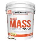 Hipercalórico Big Size Mass 6kg BRN Foods
