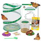 História de insetos do Butterfly Garden com 5 lagartas vivas e diário