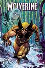 História em Quadrinhos Marvel Wolverine Vol. 3: Protetor dos Mutantes História em Quadrinhos Marvel Wolverine Vol. 3: Protetor dos Mutantes