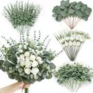 Hojas Artificiales de Eucalipto Variedad Serwalin 100 Piezas 7 Tipos