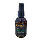 Home Spray LEMONGRASS 100ml, OLFATO MDO AGRO, Spray de ambientes para casa, neutraliza odores e reduz cansaço físico e mental