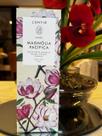 Home spray magnolia pacifica arabesc 100ml
