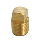 Homeplus+ Tapón Cuerpo Cuadrado MPT de Latón 1/2"