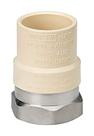 Homewerks Worldwide Transition Fitting 1" FPT CPVC