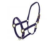 Horse Halter Gatsby Gold ajustável em nylon roxo
