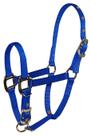 Horse Halter Hamilton Pet & Equine Hamilton 3/4 Nylon Blue
