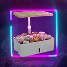 Horta Inteligente autoirrigável para microverdes com iluminação LED