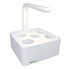 Horta Inteligente Irrigação Automática Brota Box Led sem Sol