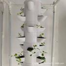 Horta Vertical Sistema De Hidroponia