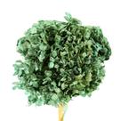Hortência Verde Desidratado