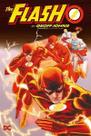 HQ Flash por Geoff Johns Panini