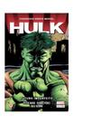Hulk - futuro imperfeito