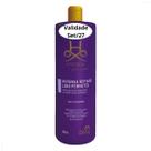 Hydra Groomers Máscara de Hidratação Intense Repair System Liso Perfeito 480ml Pet Society Para Cães E Gatos