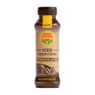 Iced Cappuccino Chocolate Santa Clara 260ML