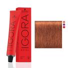 Igora Royal 7.77 Louro Médio Cobre Extra Schwarzkopf Professional 60g Coloração