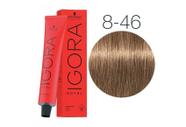 Igora Royal 8.46 Bege Marrom Coloração Permanente Schwarzkopf Professional 60ml