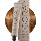 Igora Royal - Absolutes - Todas as Cores 60g - 7-50 Louro Médio Dourado Natural