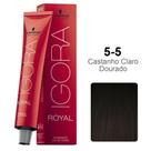 Igora Royal - Castanhos - 60g