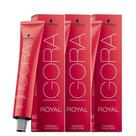 Igora Royal Coloração 3x 7/1 Louro Médio