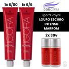 Igora Royal LOURO ESCURO INTENSO MARROM Igora Royal LOURO ESCURO INTENSO MARROM