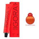 Igora Royal Schwarzkopf Coloração Professional 0-77 60g