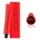 Igora Royal Schwarzkopf Coloração Professional 5-88 60g