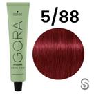 Igora Zero Amm 5/88 Castanho Claro Vermelho Extra 60 ml